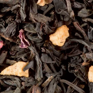 the noel st petersbourg