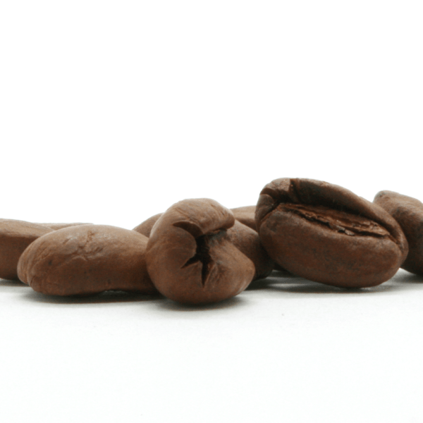 focus grain paques