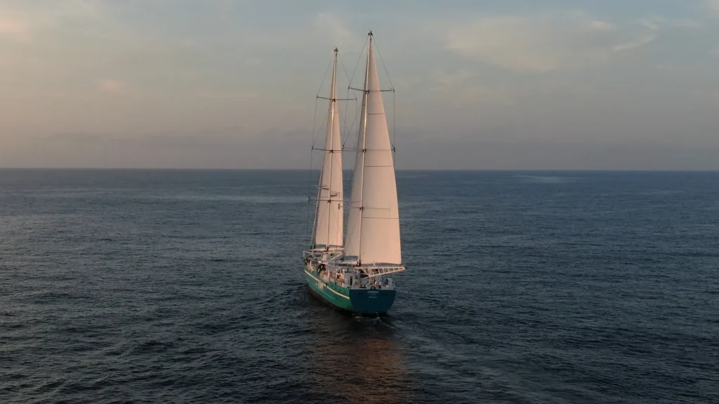 Photo bateau café transporté à la voile écoresponsable