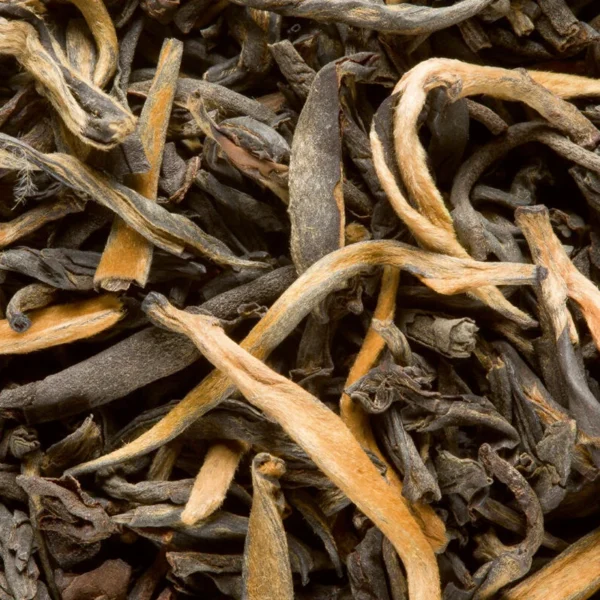 Grand Yunnan