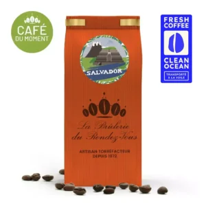Salvador grain café voile